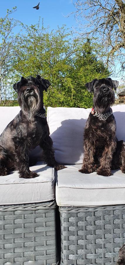 إيردري The Sleeping Dog Room At The Grumpy Schnauzer Bnb Huge Room, Luxe Suite, Private Hot Tub, Breakfast, Gym, Games Room, Farm Stay, Amazing المظهر الخارجي الصورة